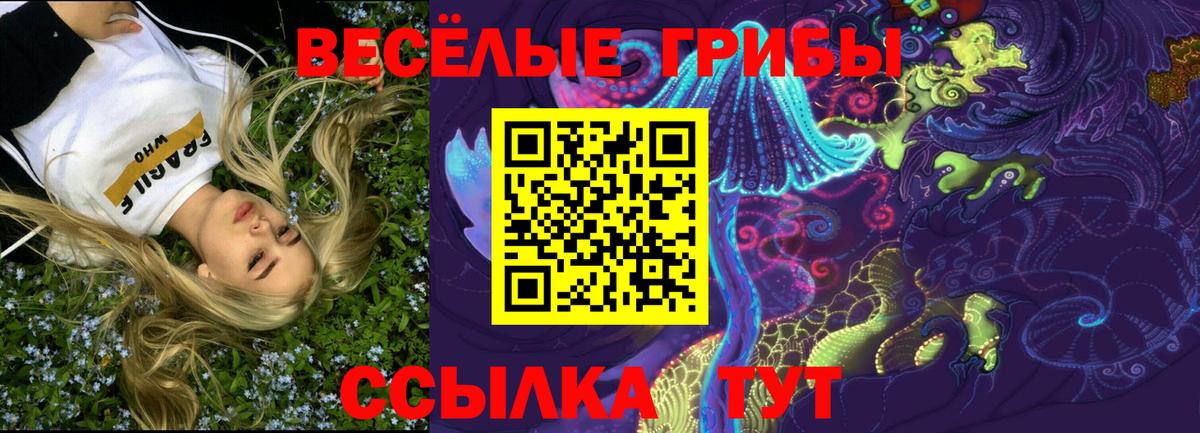 Галлюциногенные грибы GOLDEN TEACHER Саяногорск