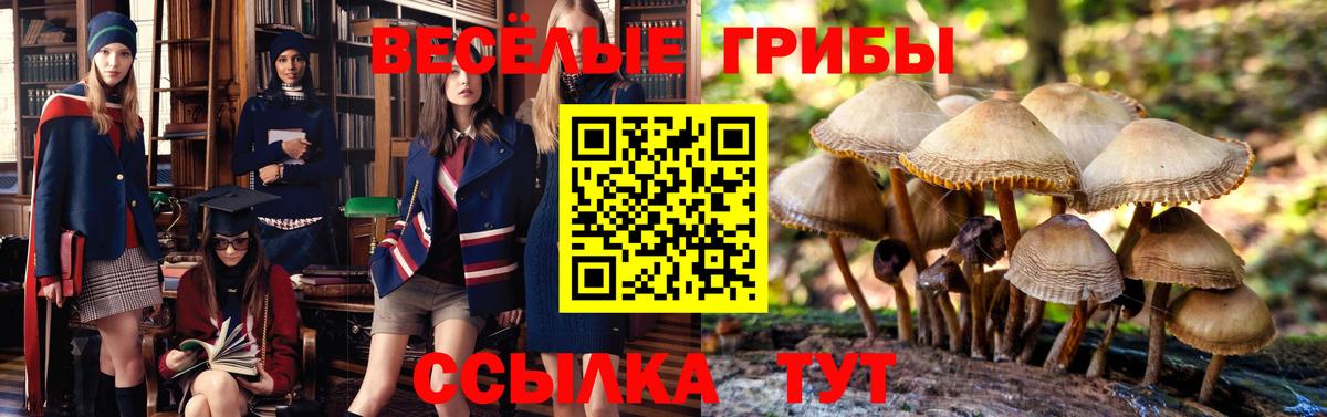 Псилоцибиновые грибы мухоморы  Вход с VPN  Саяногорск 